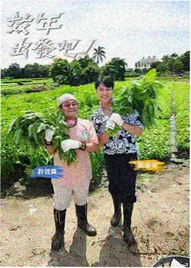 三时三餐 渔村篇 在线观看